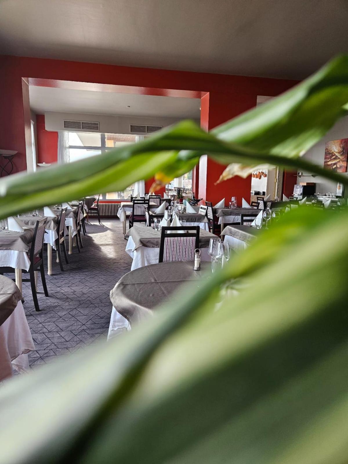 Alexain Hotel Restaurant&Wellness - Colmar Ouest Trois-Épis Exterior foto